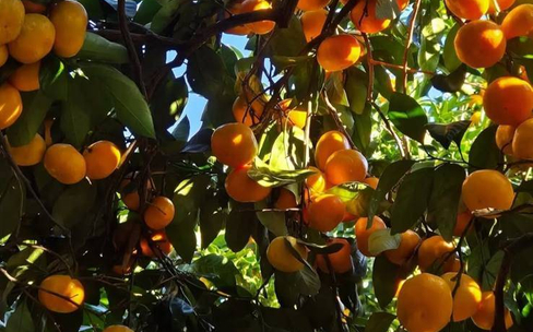 Места силы: Абхазия, Новый Афон, озеро Рица, Гагра