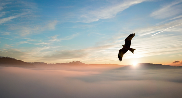 Обложка для баннера Выездные экскурсии