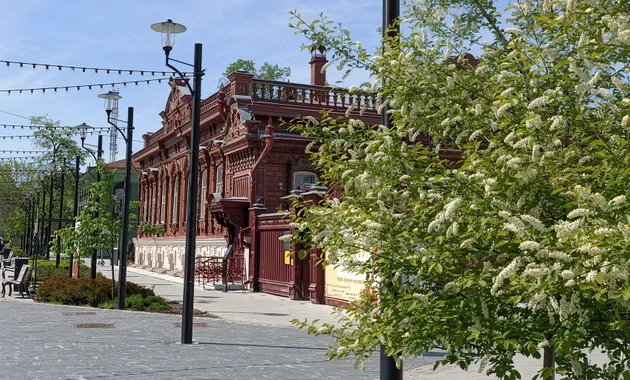 Деревянная сказка первой пешеходной