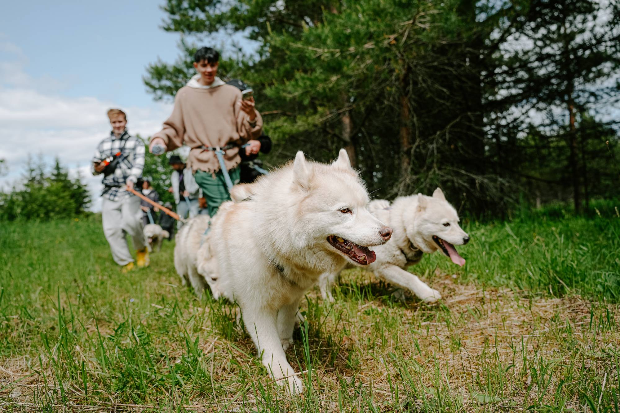 Обложка места Национальный парк «Валдайский»