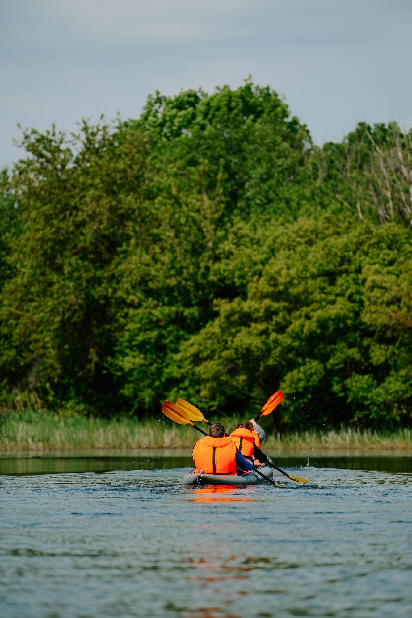 Обложка места Федеральный государственный природный заповедник «Воронинский»