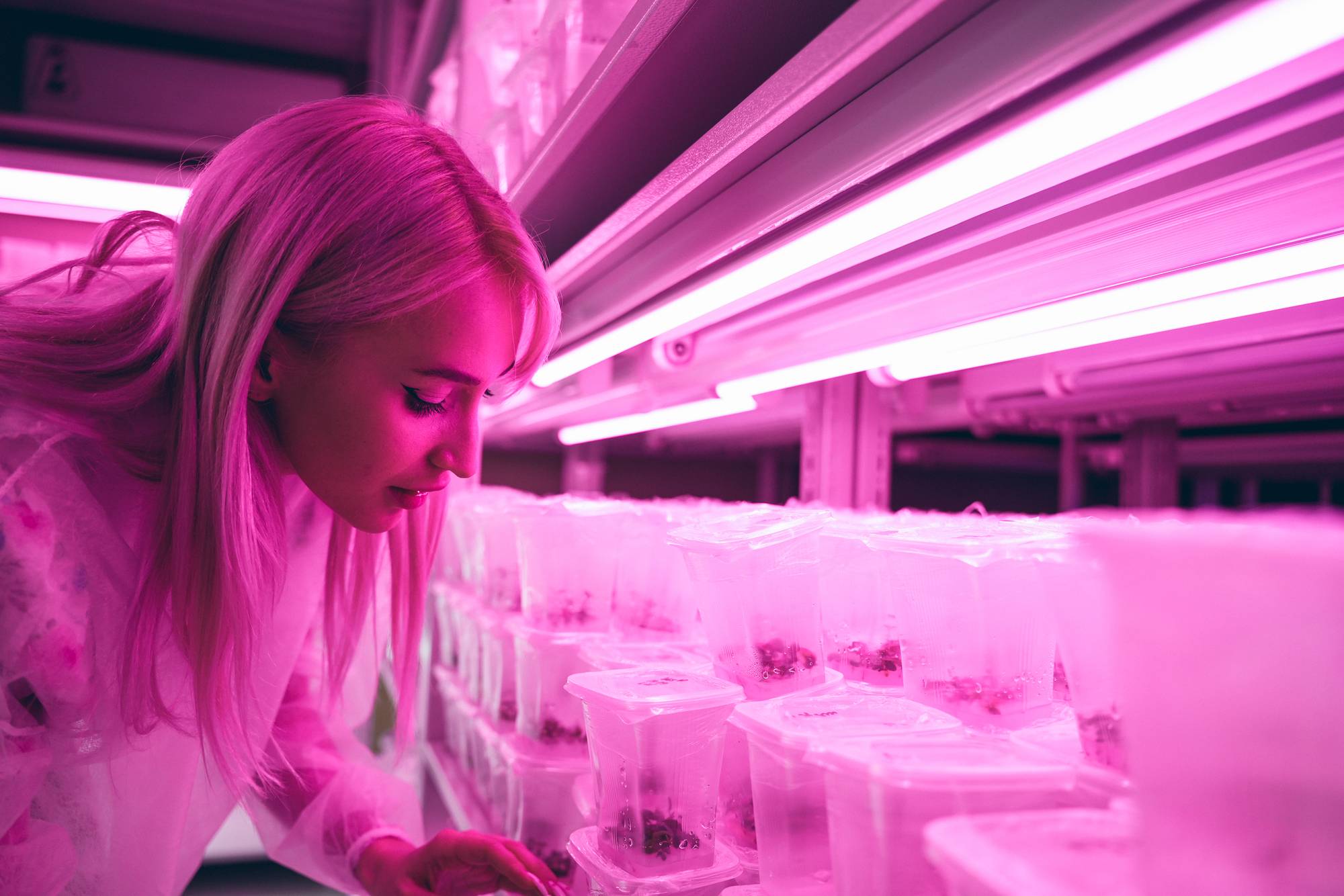 Обложка места Лаборатория биотехнологии и дегустация продуктов здорового питания НПЦ «Агропищепром»