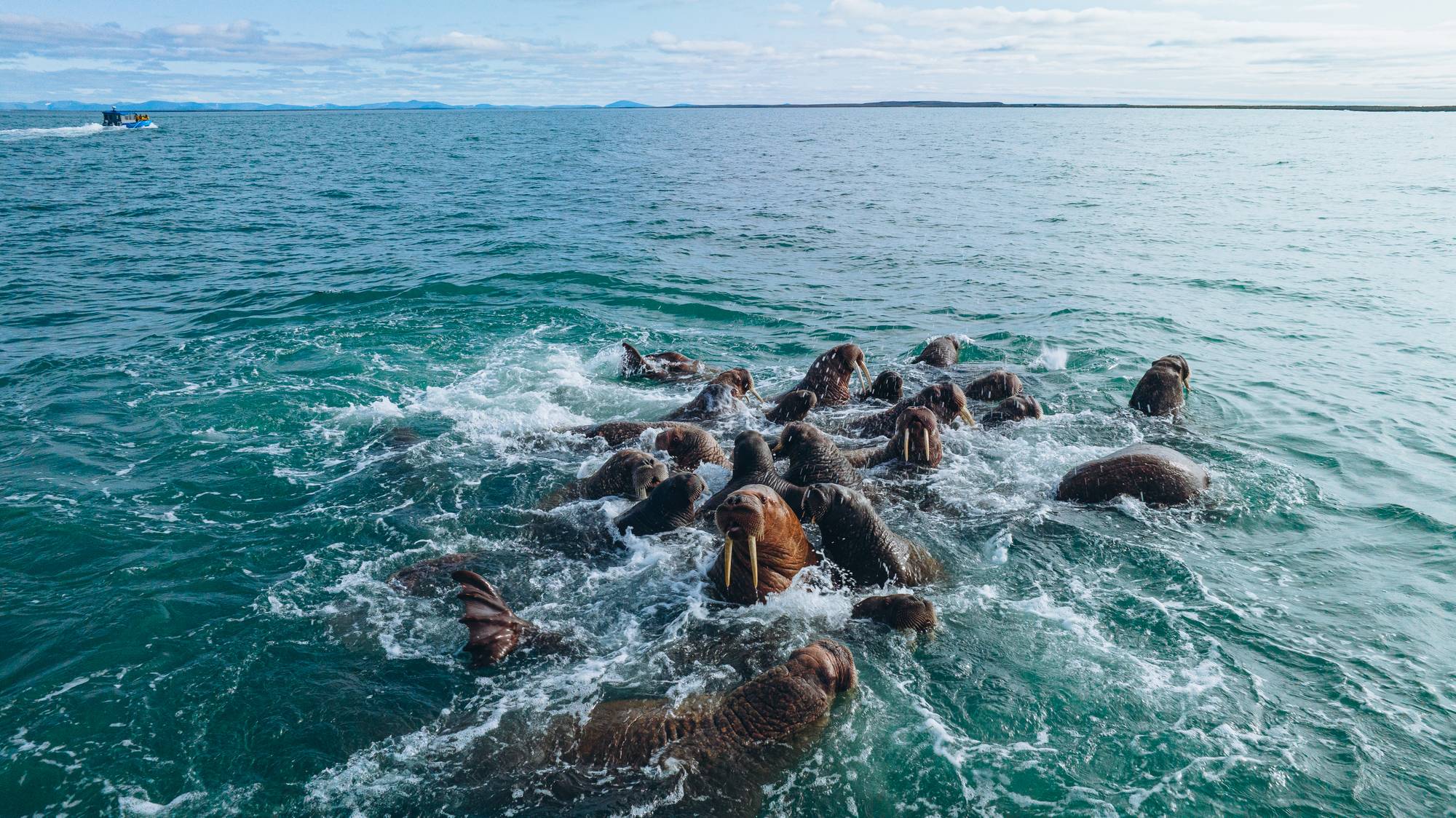 Обложка места Мыс Эруля