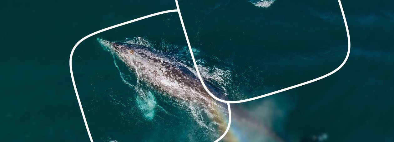 Фильм о регионе Чукотский автономный округ