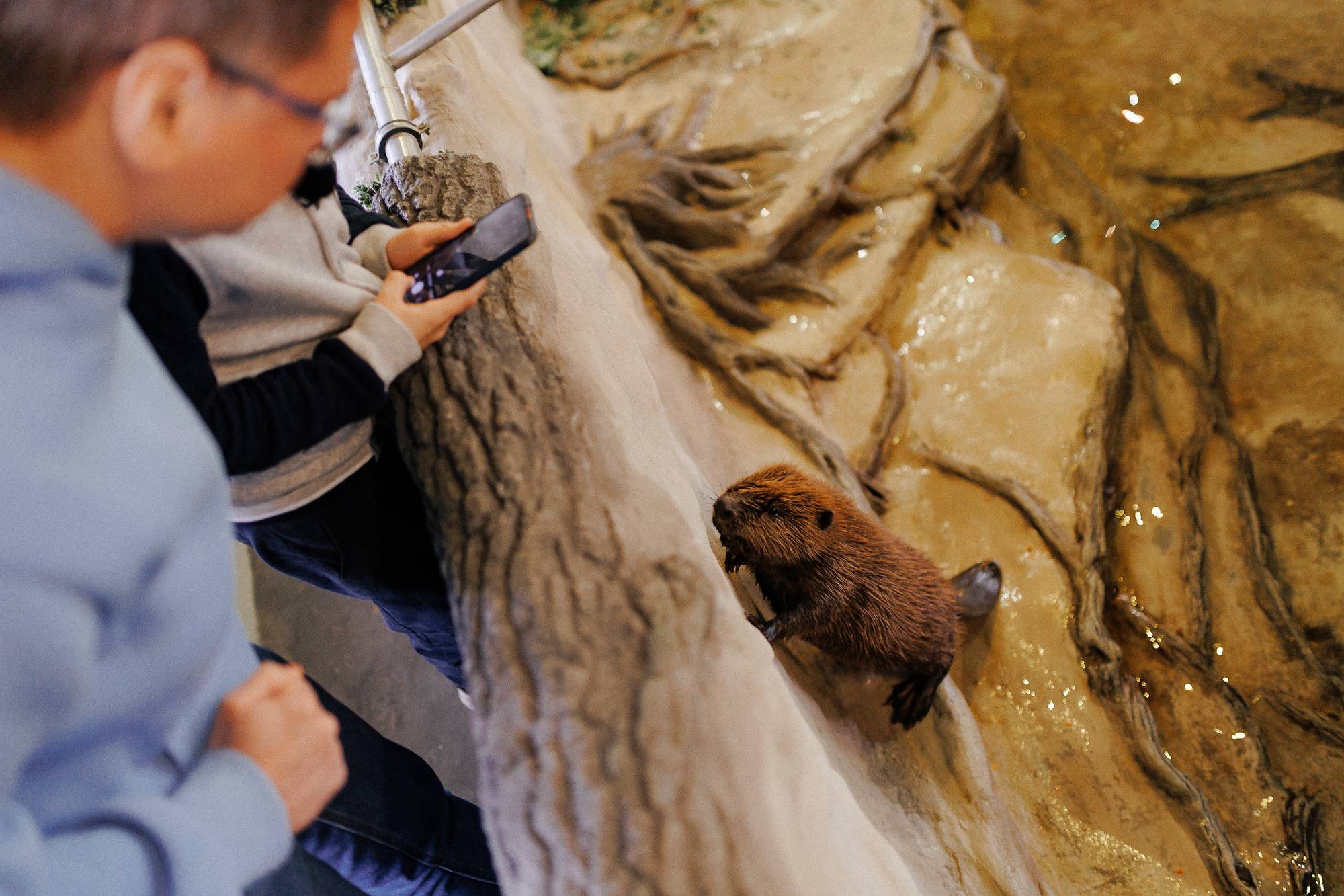 Обложка места Воронежский государственный заповедник