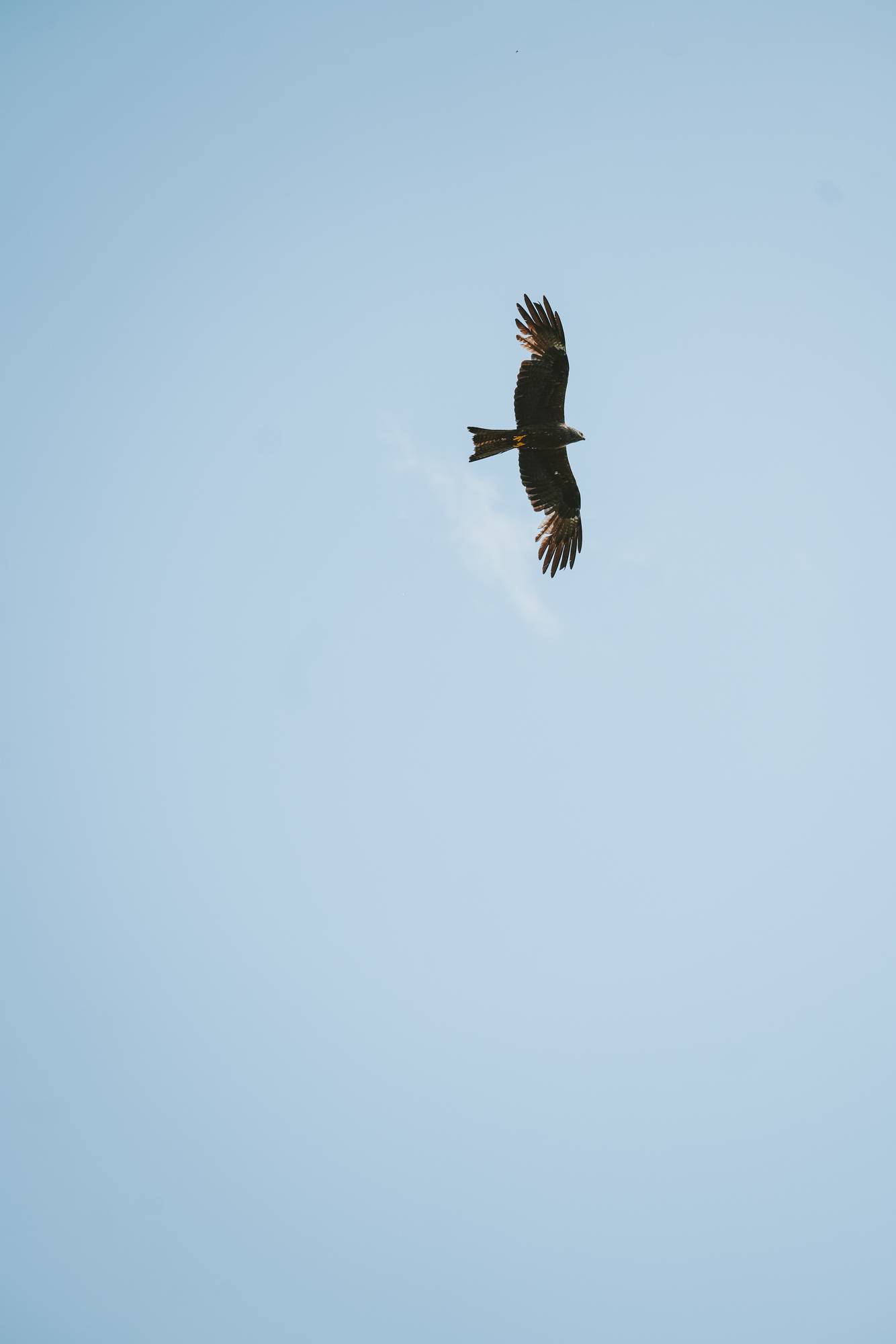 Обложка места Жигулевский государственный заповедник