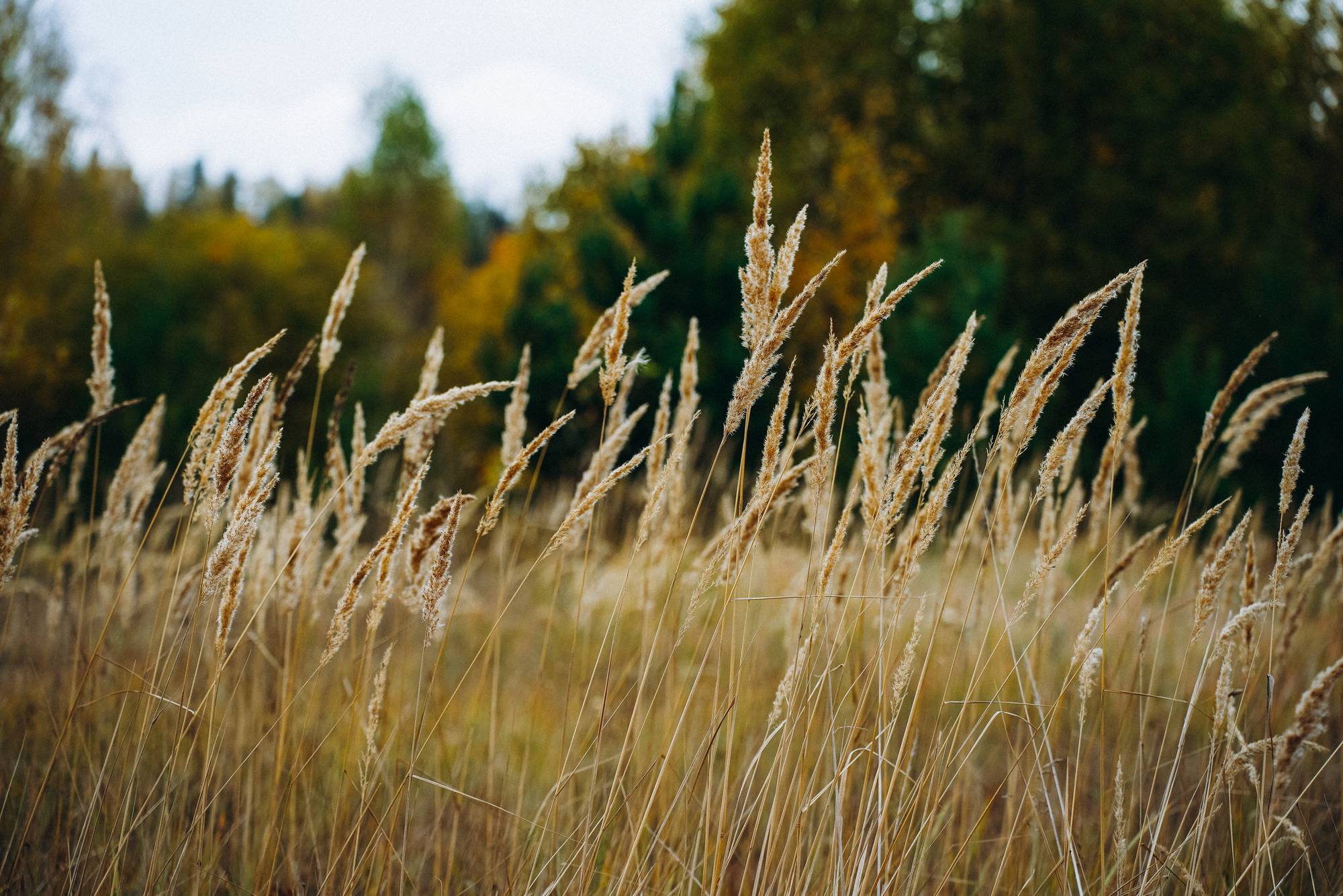 Обложка места Пешком по республике
