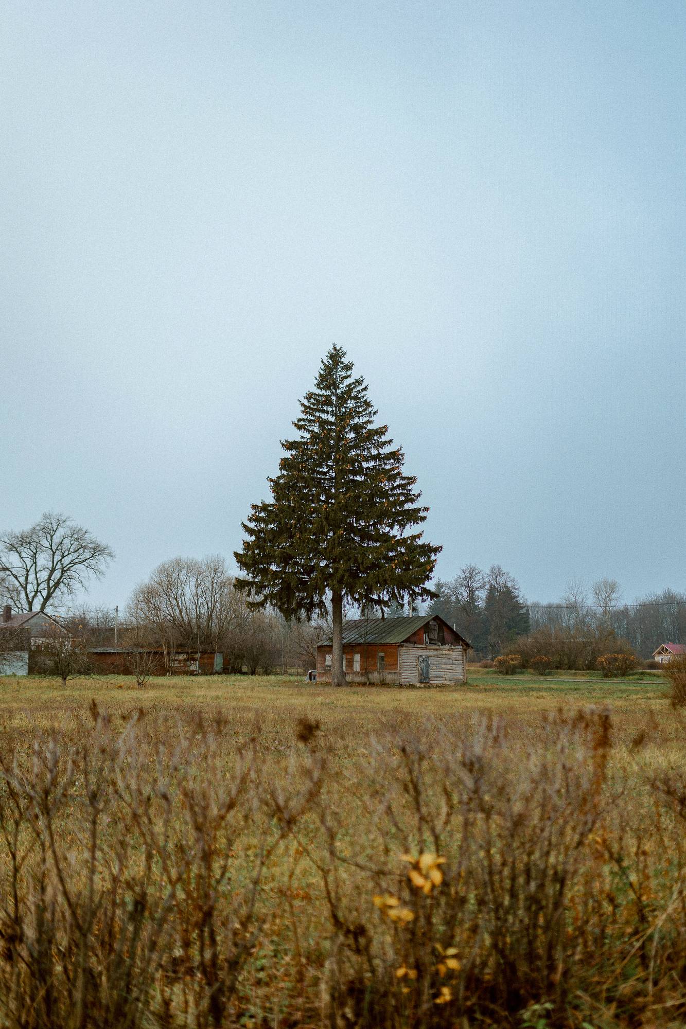 Обложка места Музей-заповедник И. С. Тургенева «Спасское-Лутовиново»