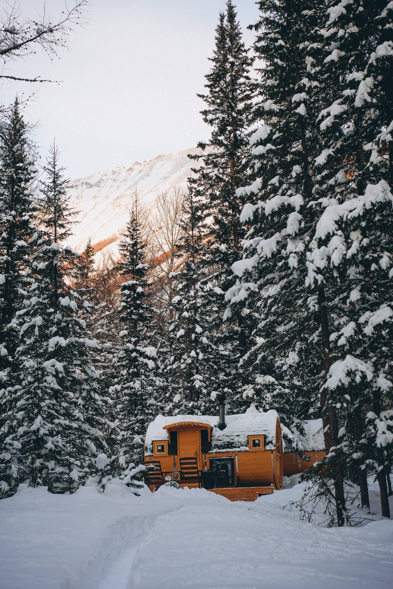 Обложка места Компания «Трофеи Алтая»