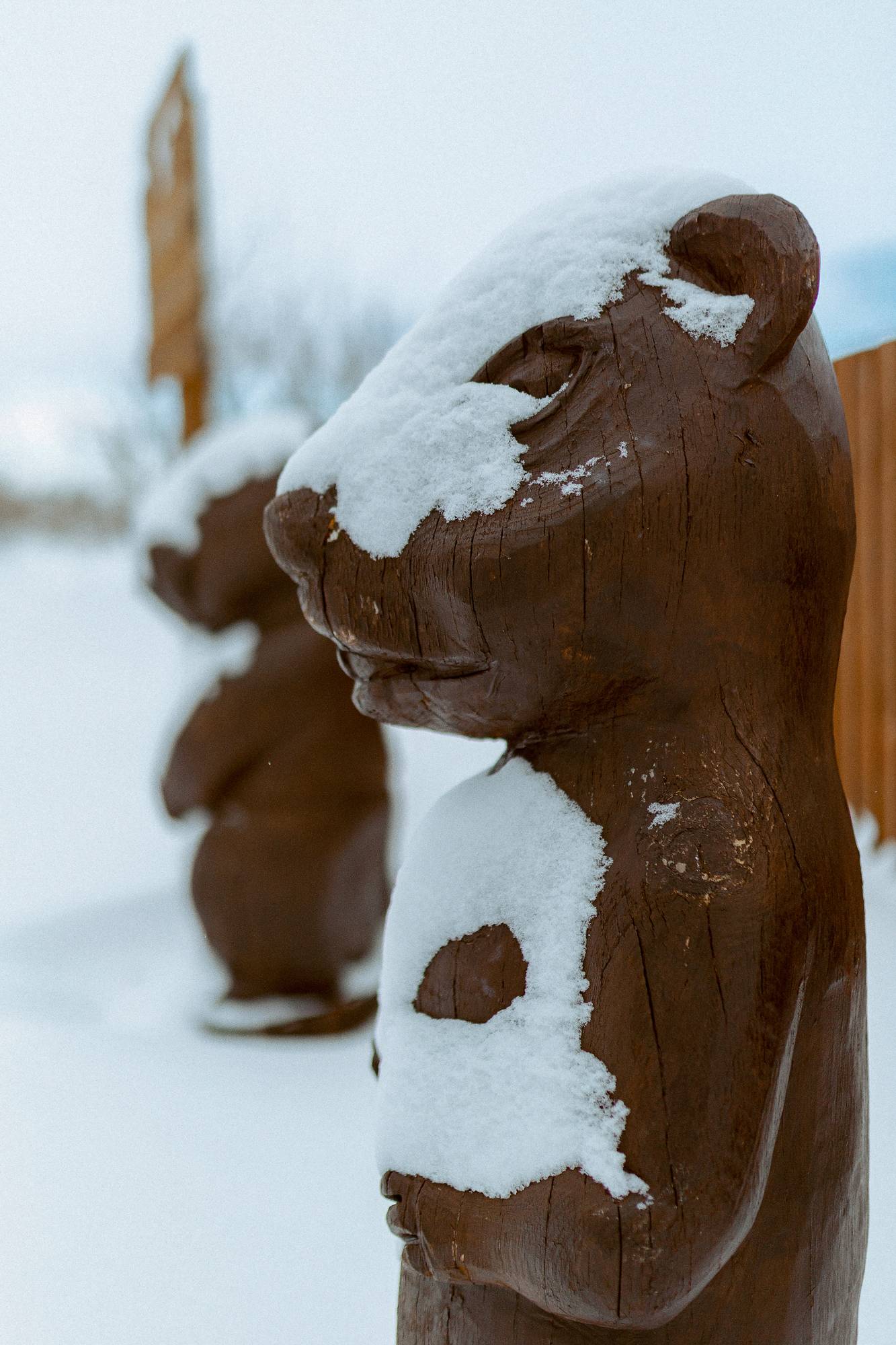 Обложка места Национальный парк «Сенгилеевские горы»