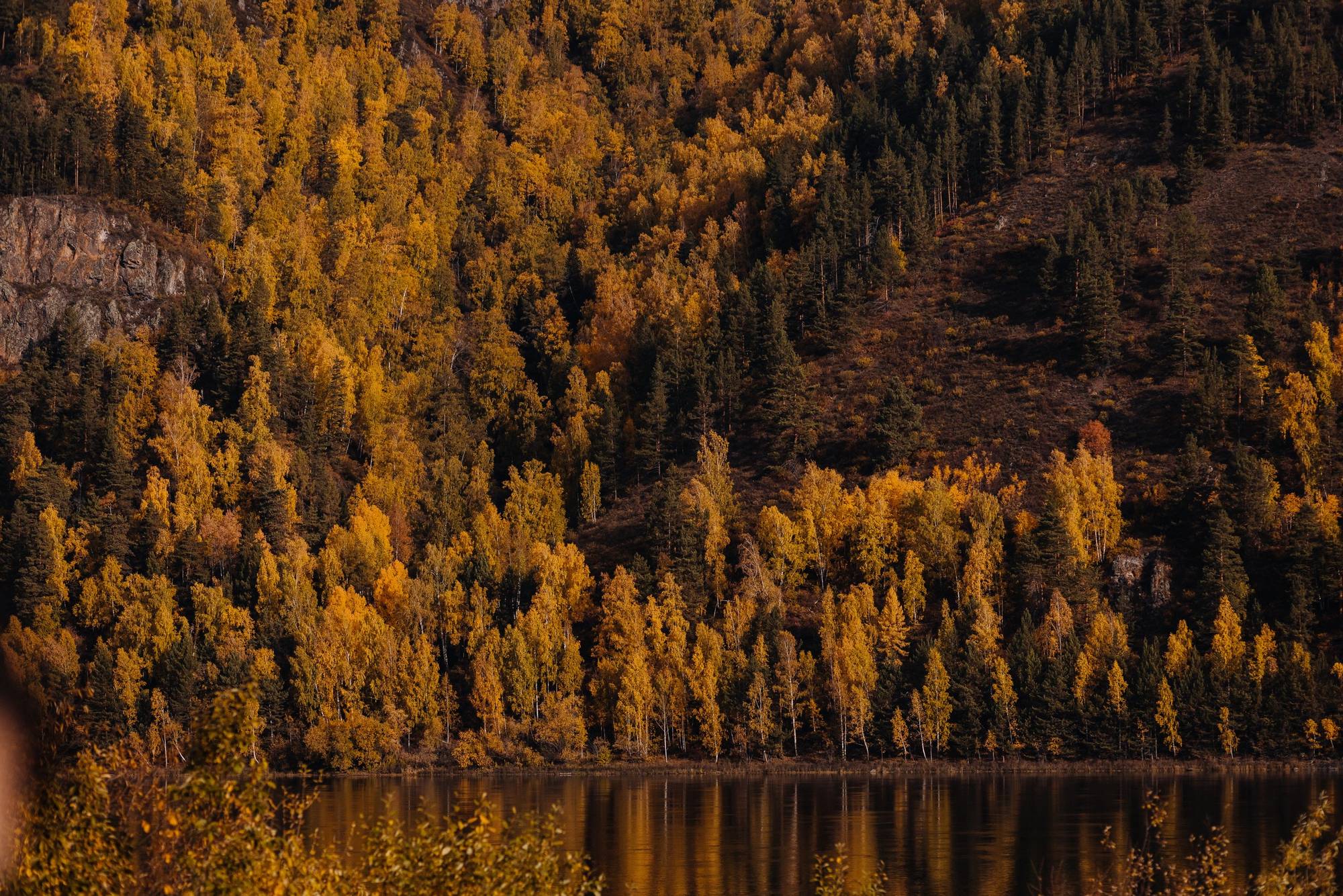 Обложка места Парк Ергаки