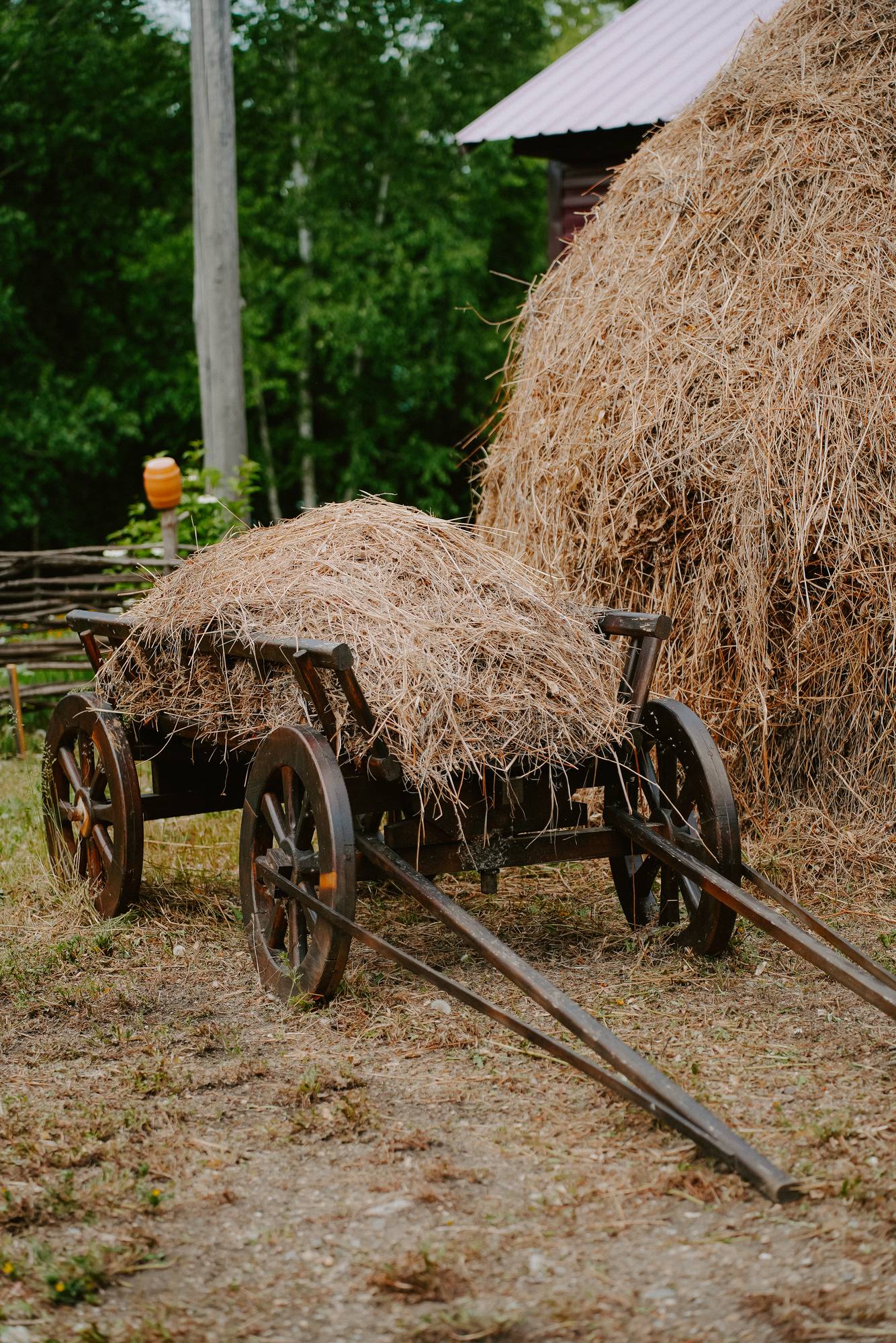 Обложка места Турбаза «В гостях у сказки»