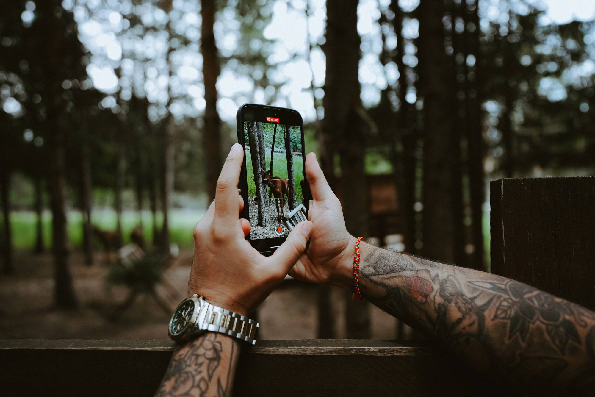 Обложка места Дом Лося «Сохатка»