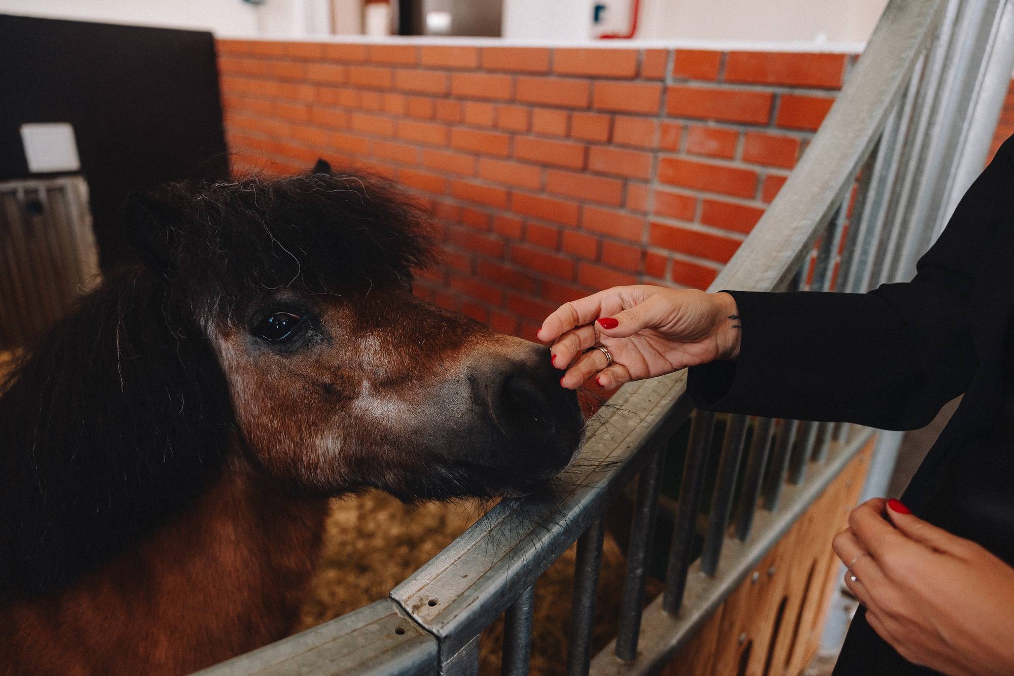 Обложка места Центр национальных конных традиций