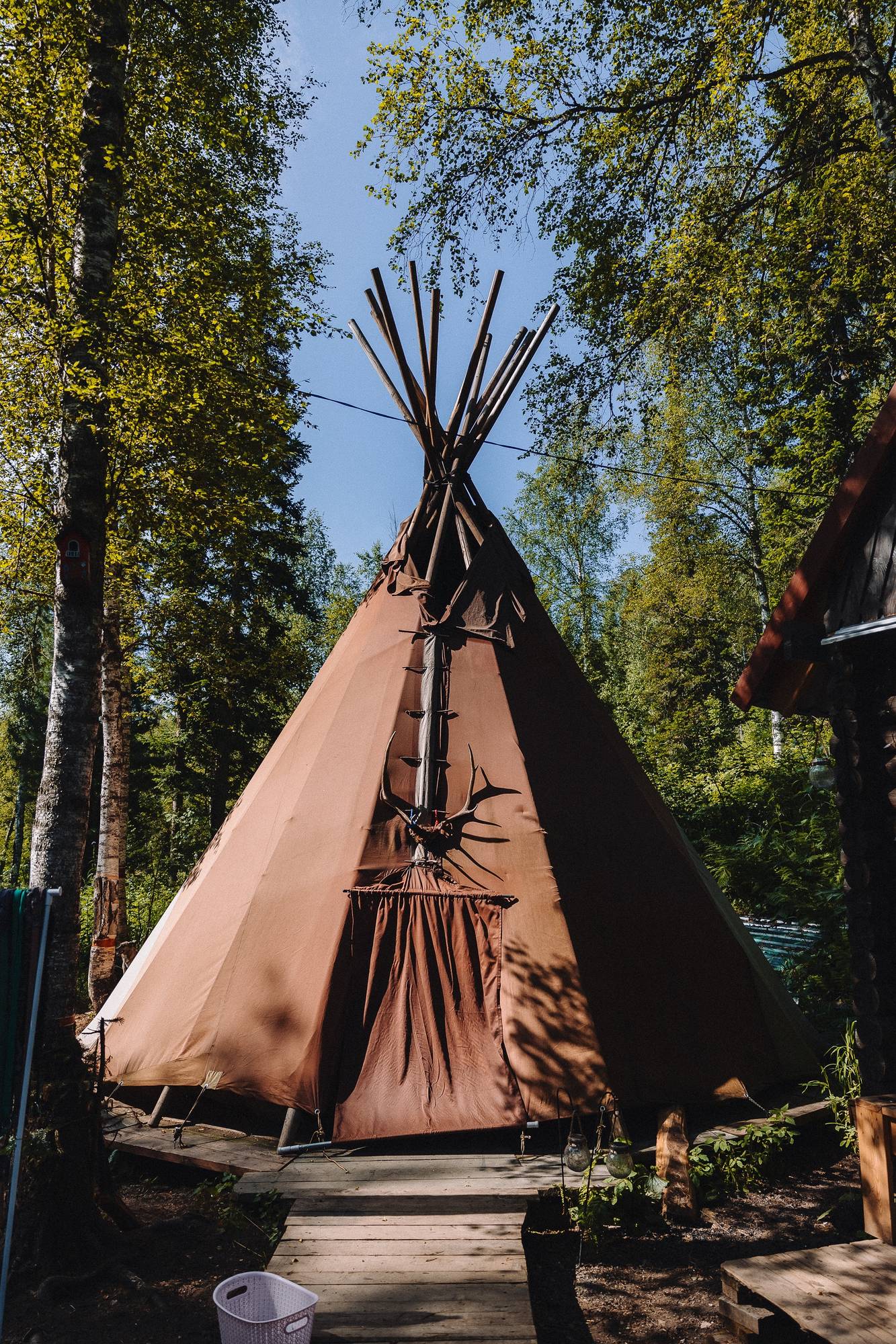 Обложка места Каюр-клуб и питомник ездовых собак «Сибирский след»