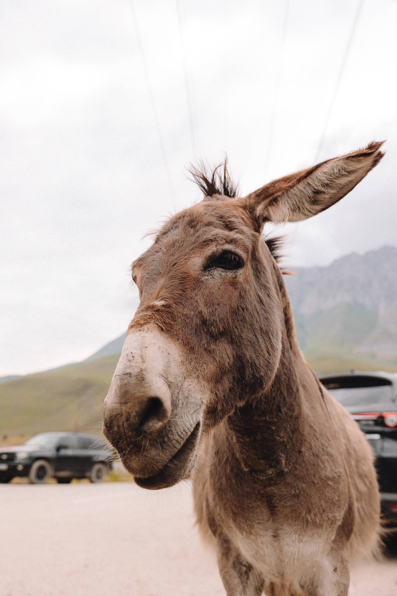 Обложка места Даргавский некрополь