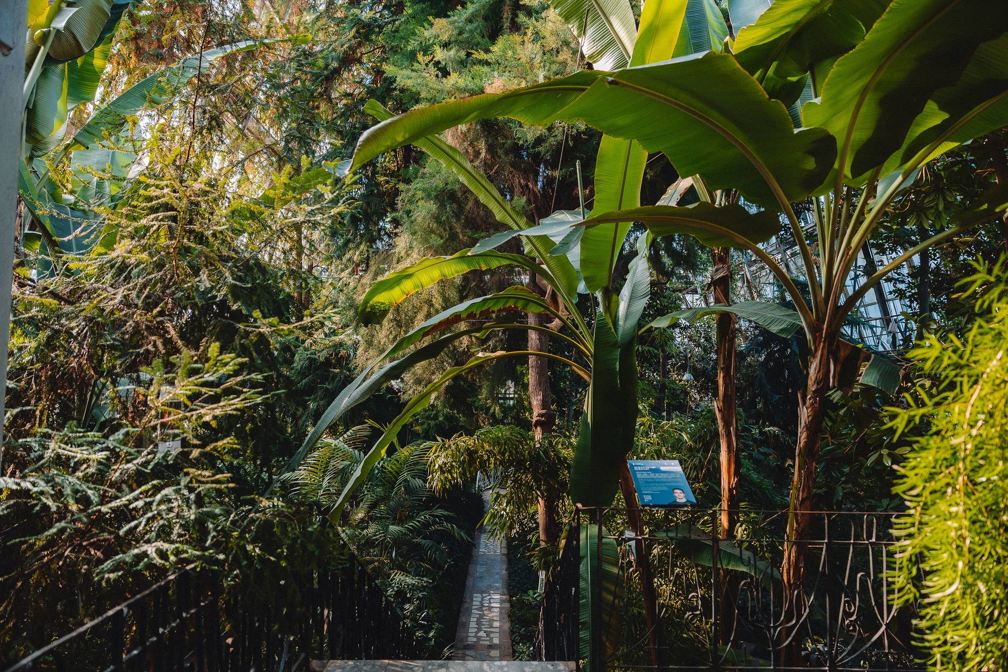 Обложка места Сибирский ботанический сад ТГУ