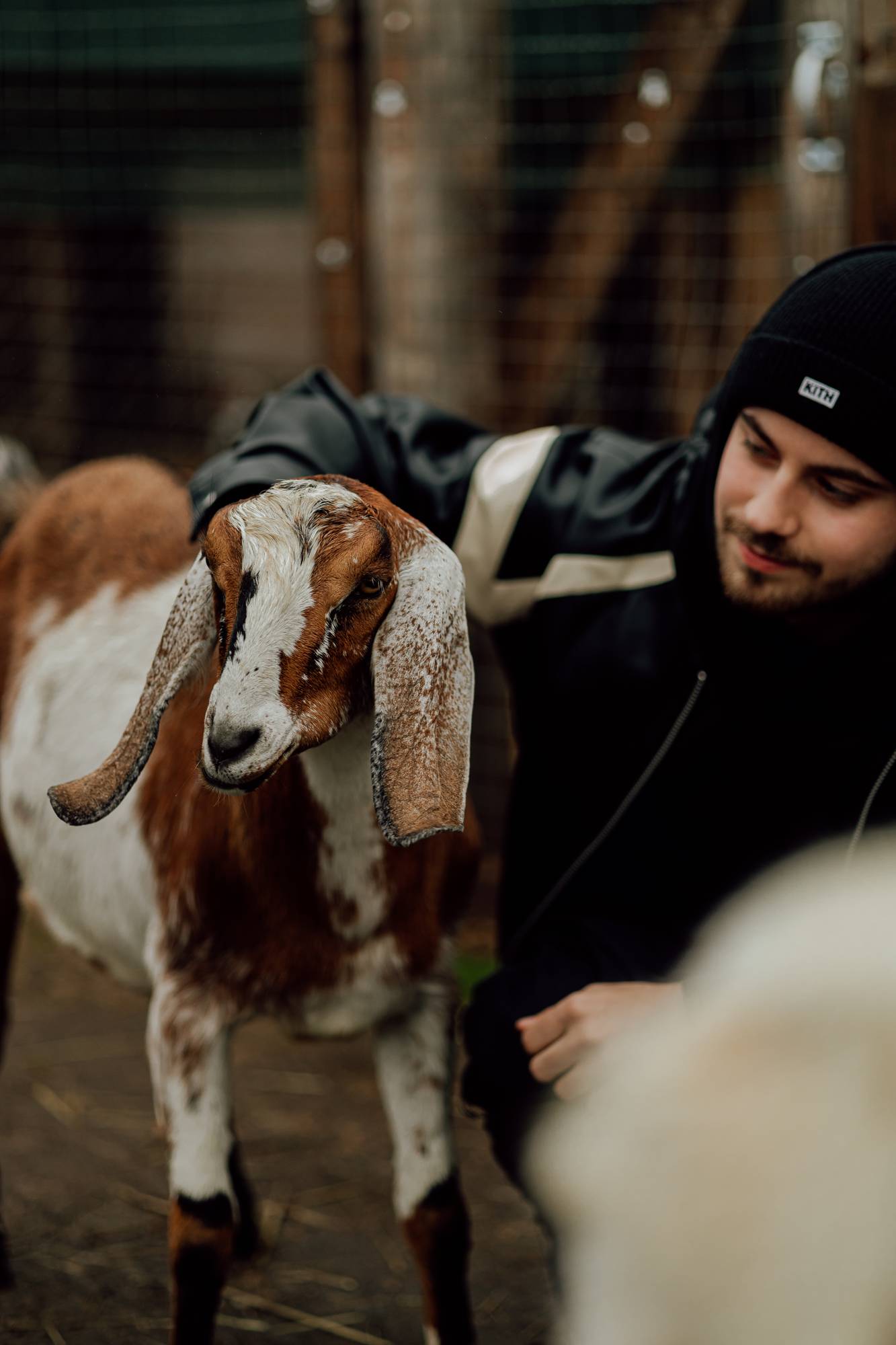 Обложка места Ферма «Страус Вася»