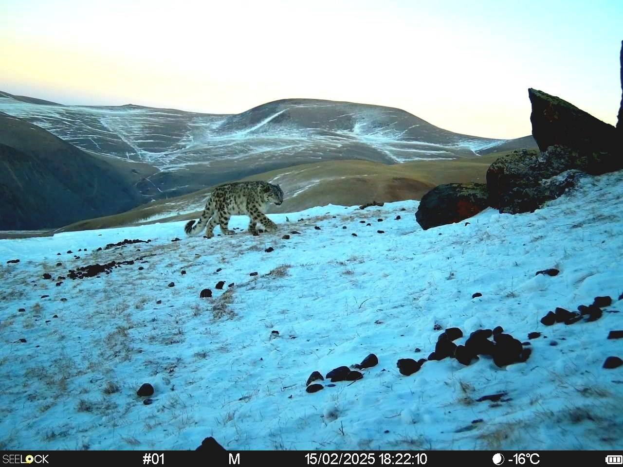 Обложка места Сайлюгемский национальный парк