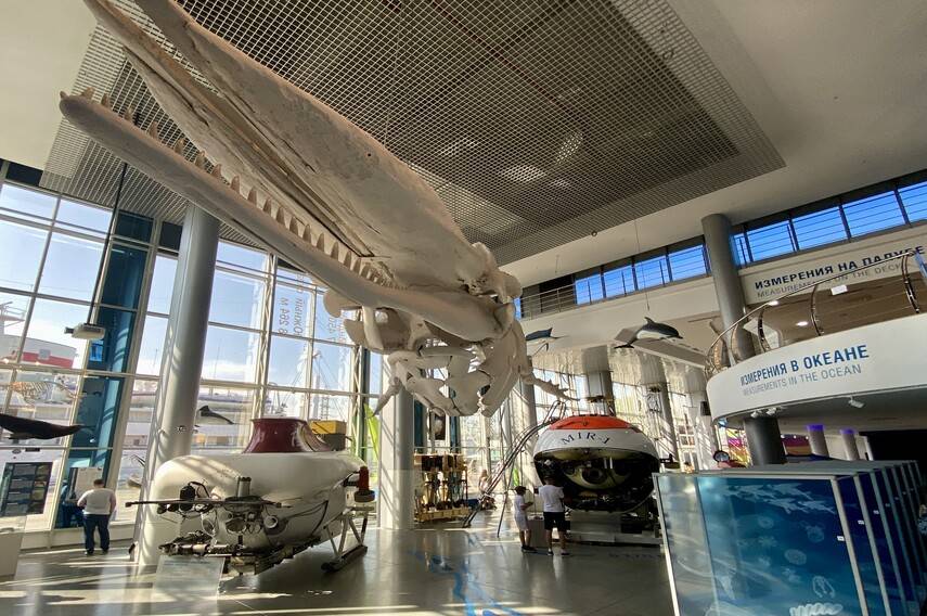 Обложка места Музей Мирового океана