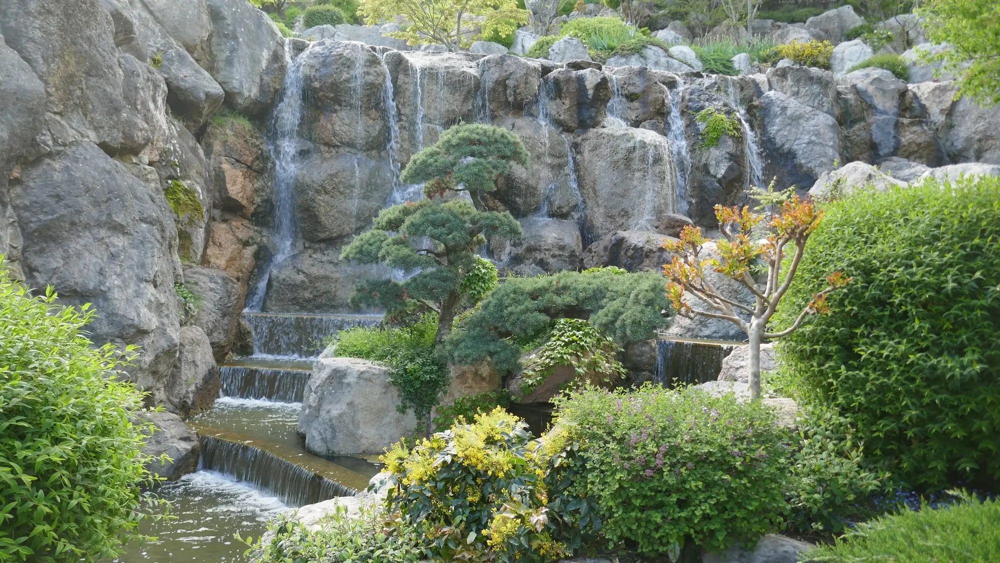 Обложка места Парк «Парадиз»