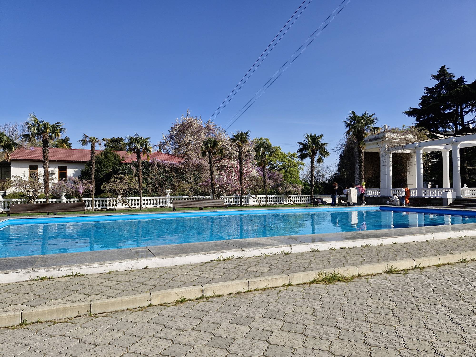 Обложка места Никитский Ботанический Сад