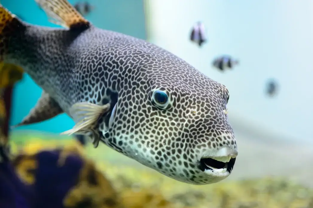 Обложка места Океанариум Екатеринбурга