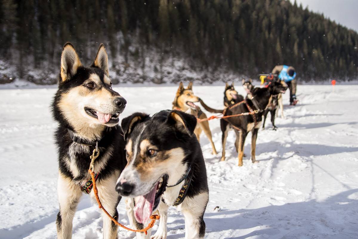 Обложка места Усадьба Тюрюминых