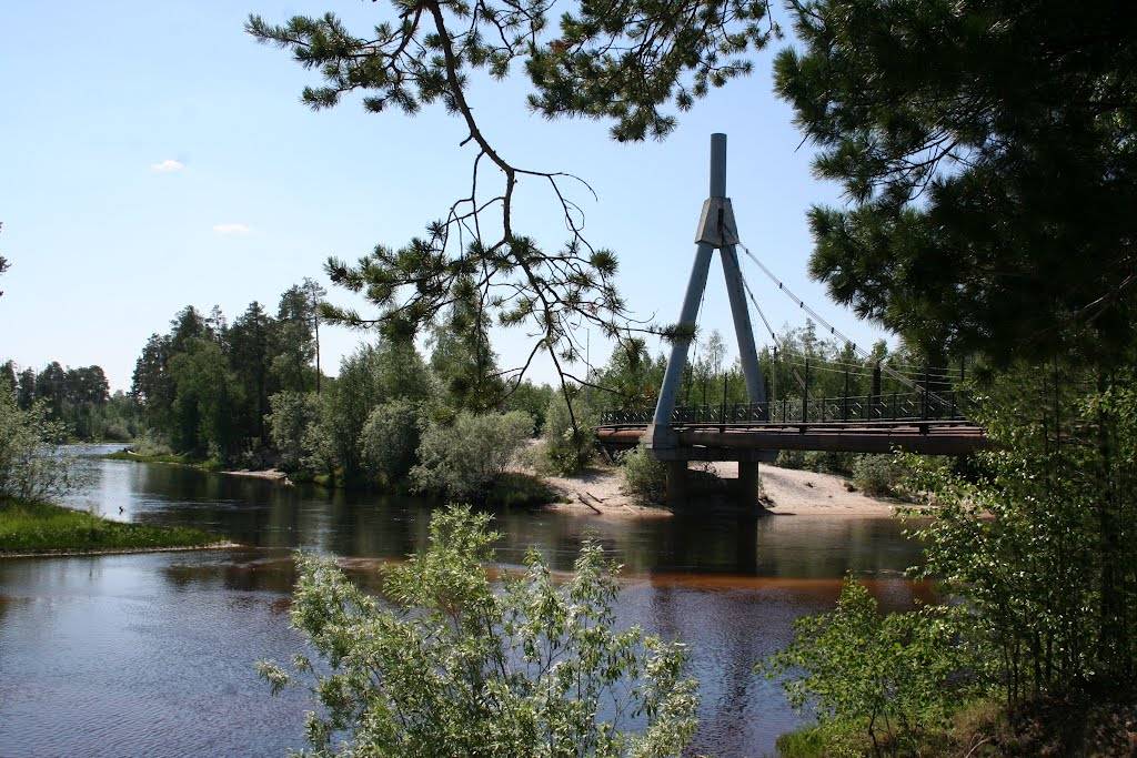 Обложка места «Пешеходный мост Циркуль»