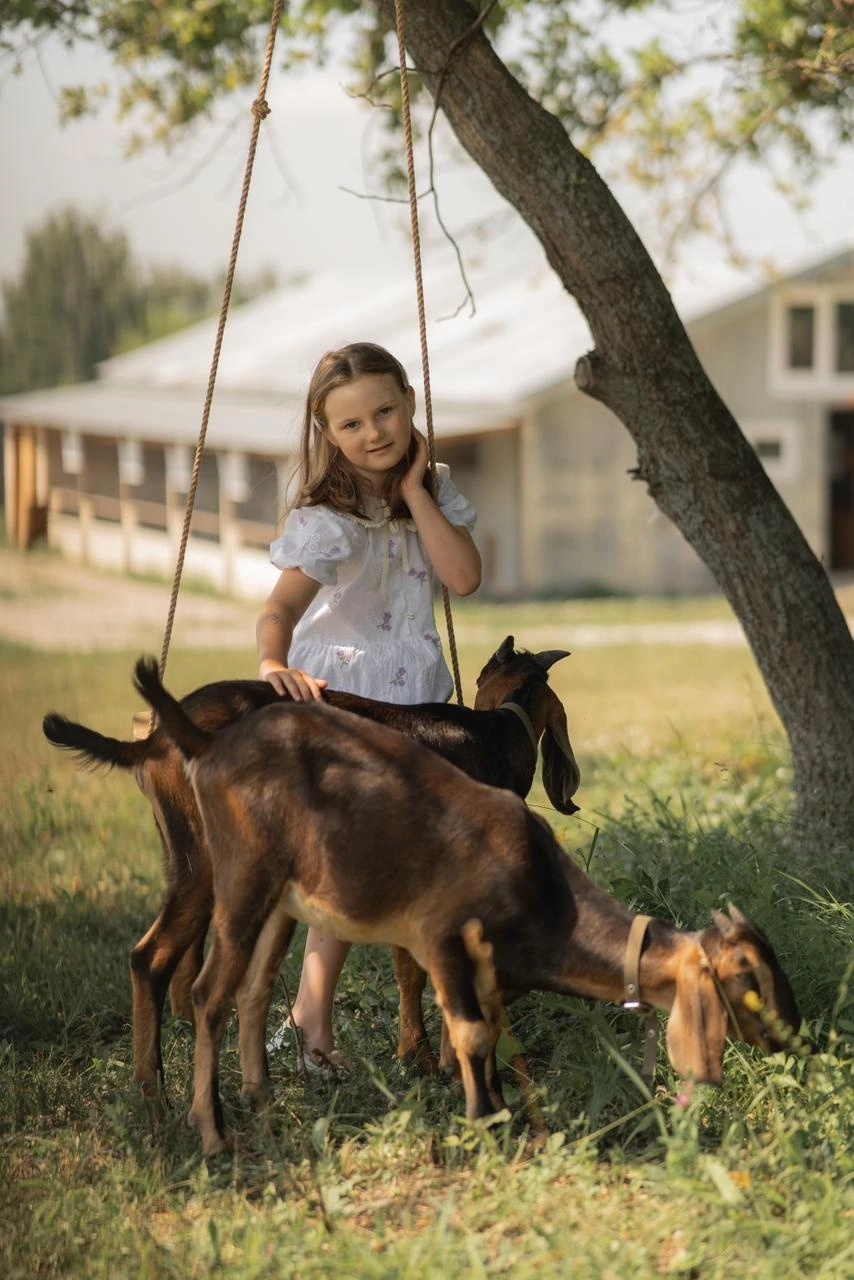 Обложка места Ферма «Жар-птица» у Торатау