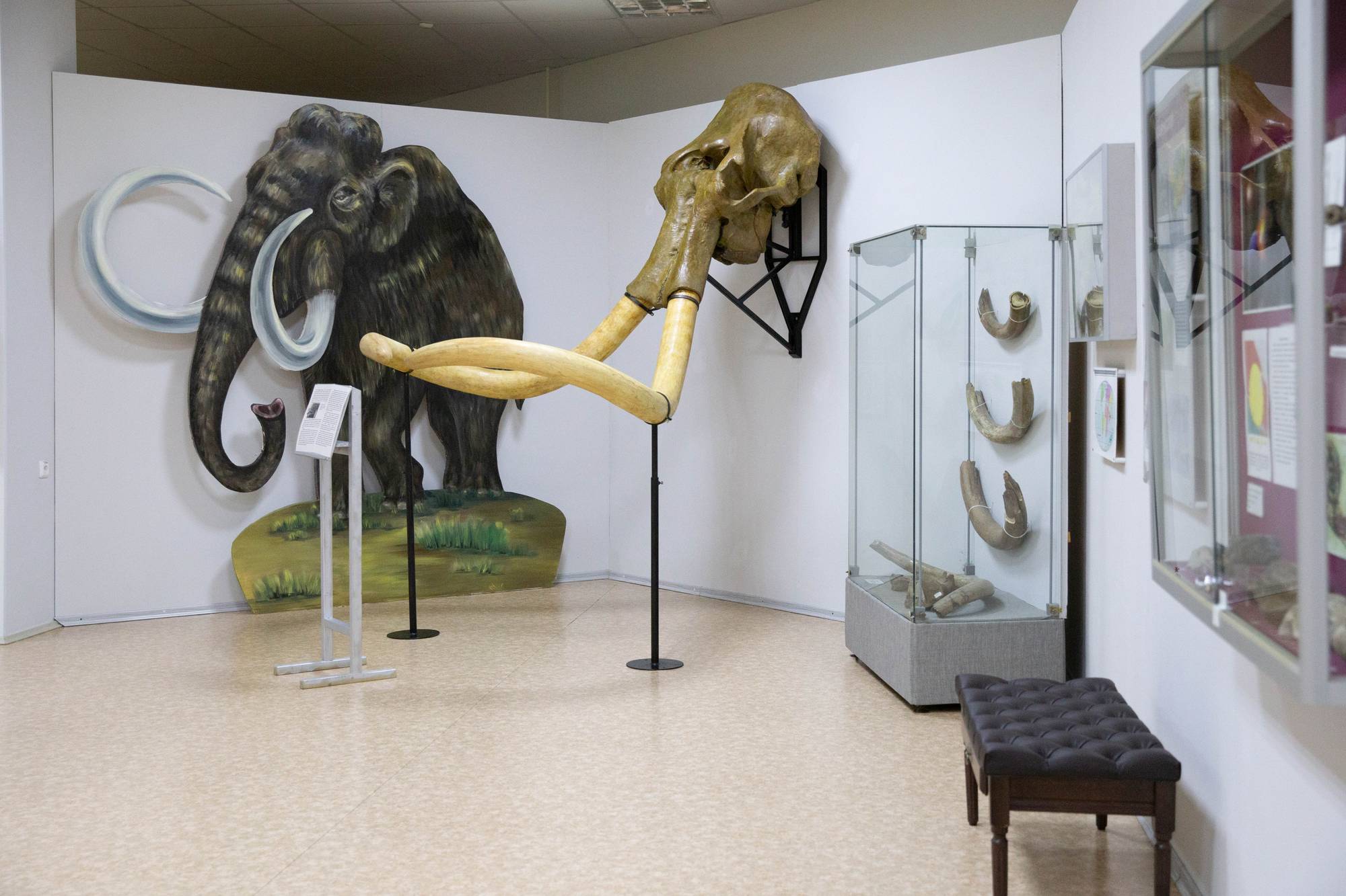 Обложка места Ненецкий краеведческий музей