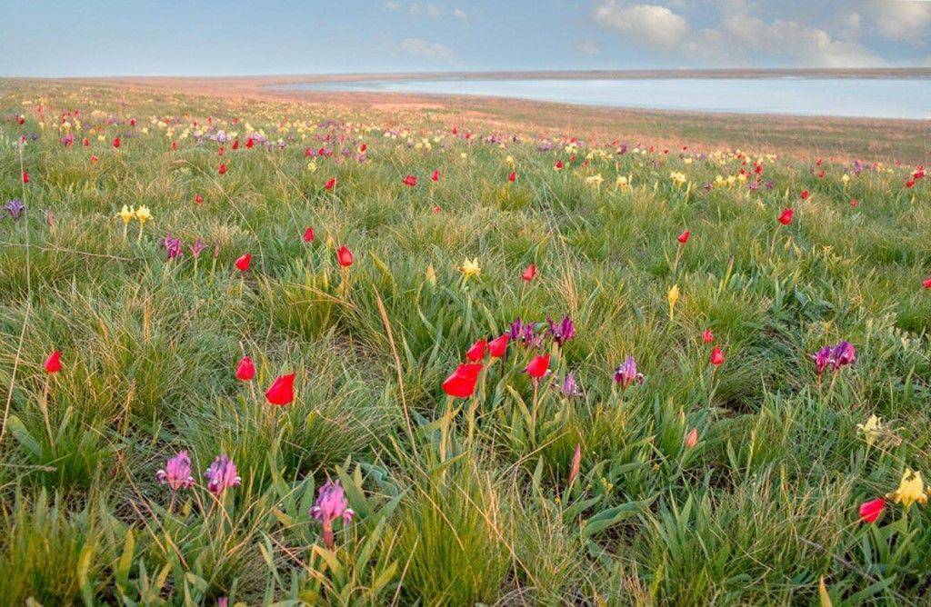 Обложка места Заповедник «Ростовский»