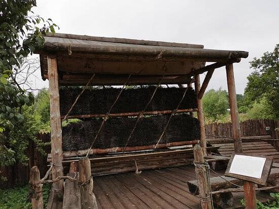 Обложка места Усадьба средневекового рушанина