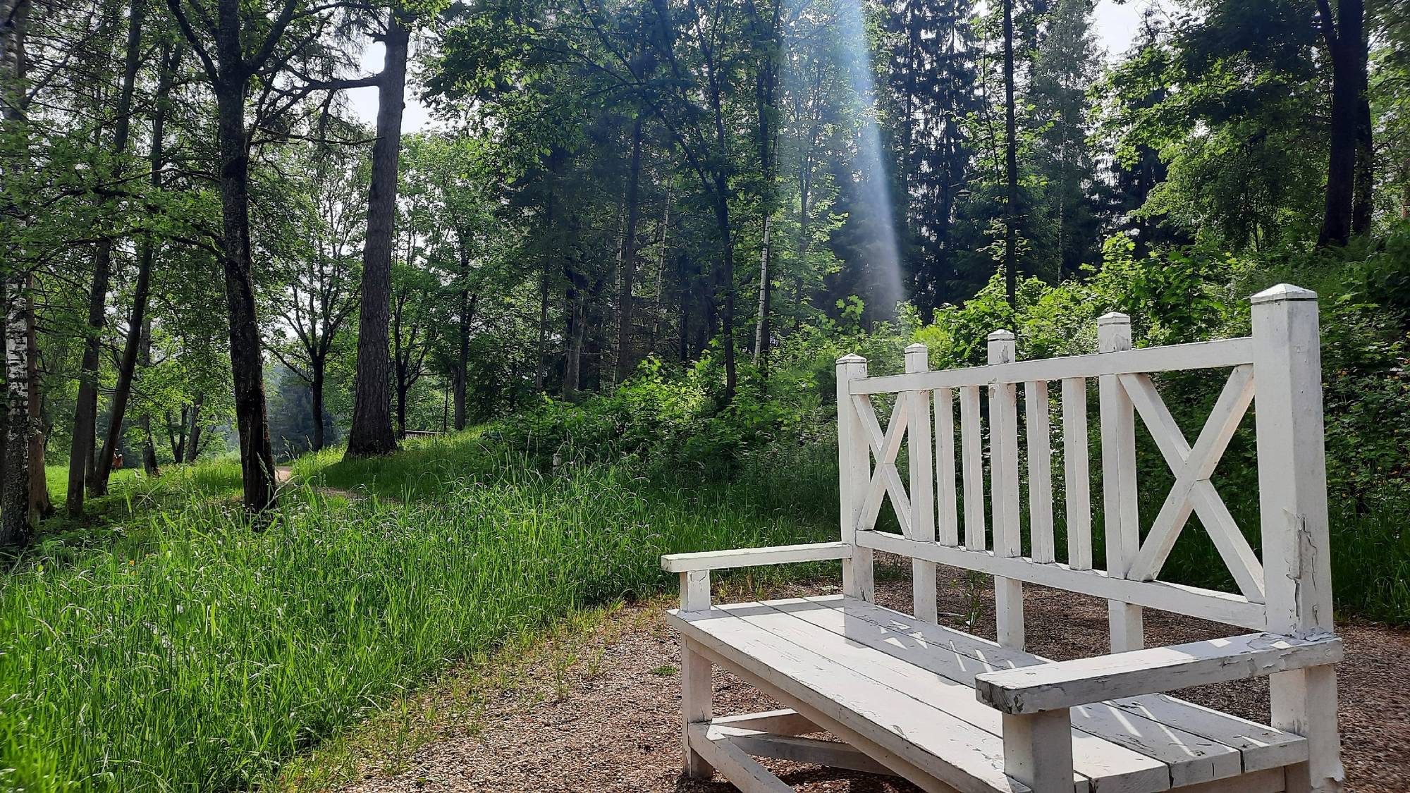 Обложка места Архитектурно-этнографический музей «Василёво»