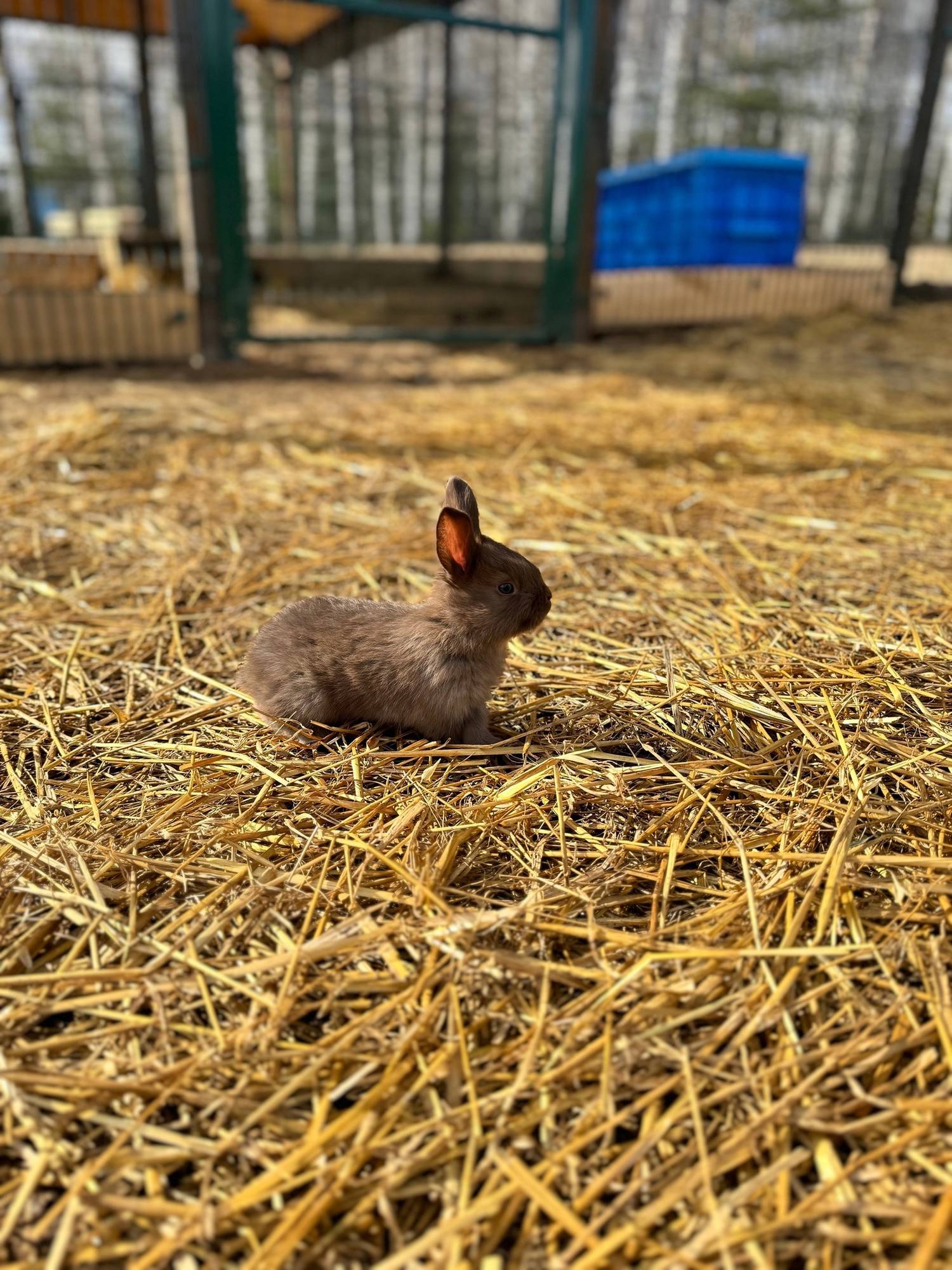 Обложка места Экопарк Пушкино