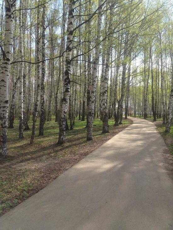 Обложка места Парк «Павловская роща»