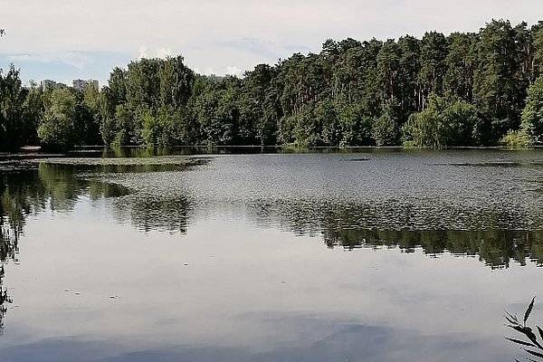 Обложка места Парк Серебряный бор