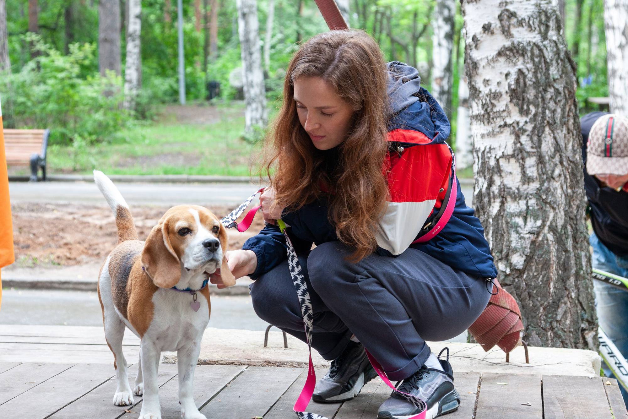 Обложка места Центральный парк культуры и отдыха имени Маяковского
