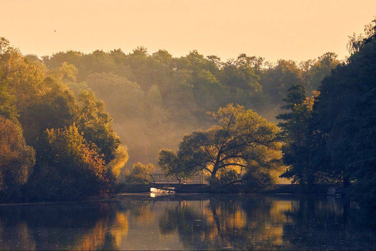 Обложка места Парк «Кузьминки»