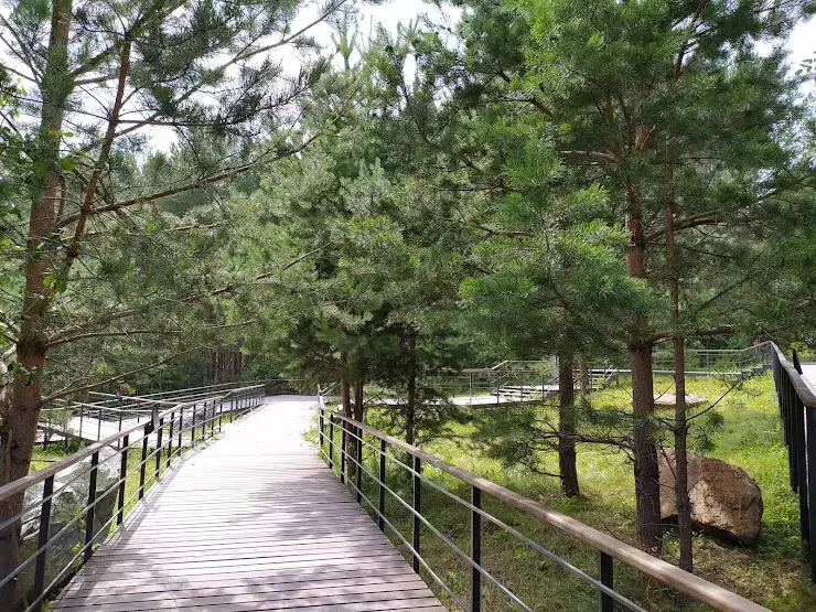 Обложка места Эко-парк «Гремячая грива»