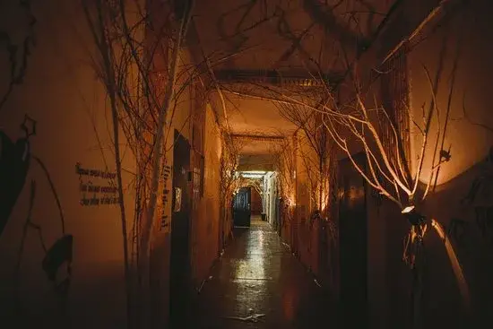 Обложка места Дом 77