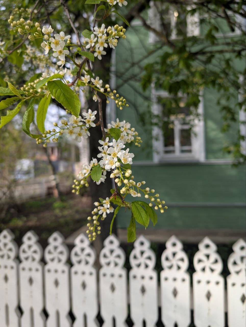 Влюбиться в Вологду