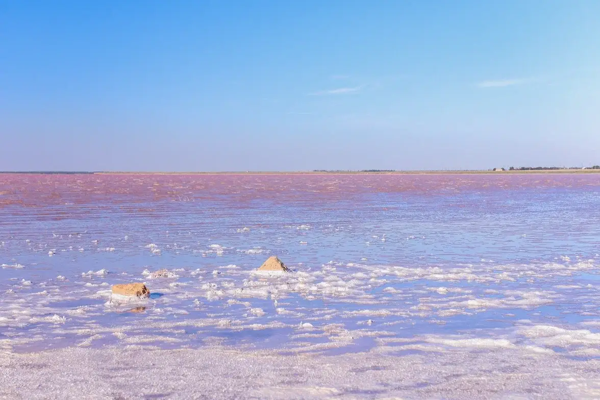 Обложка места Озеро Сасык-Сиваш
