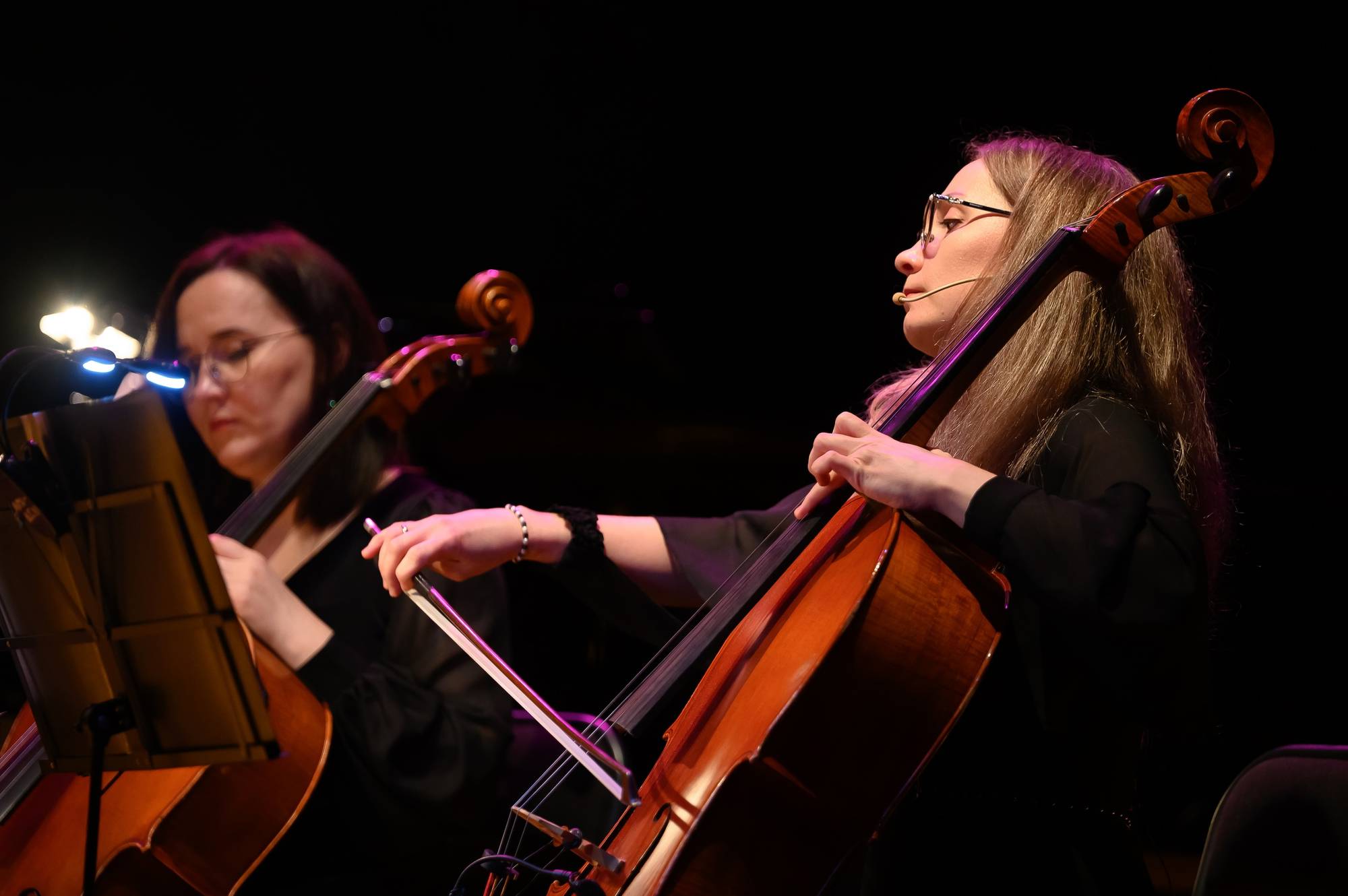 Обложка места Частная филармония «Триумф»