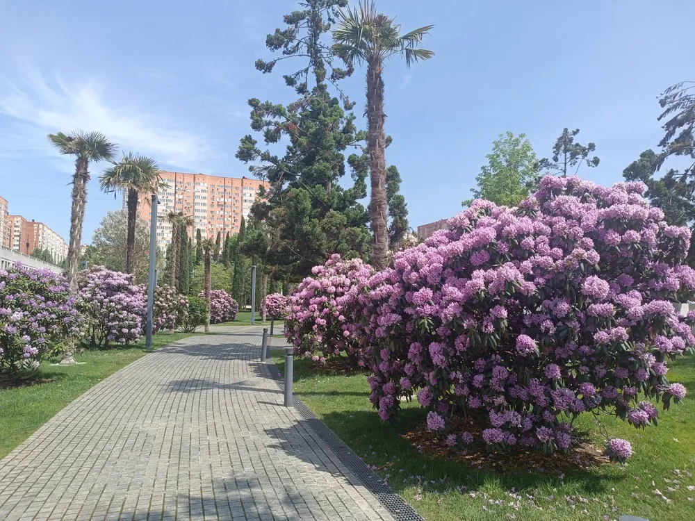 Экскурсия в парк Галицкого в Краснодаре