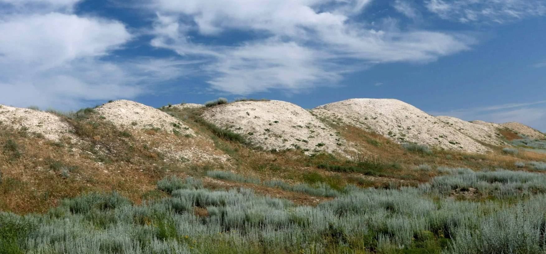 Обложка места Природный парк «Эльтонский»