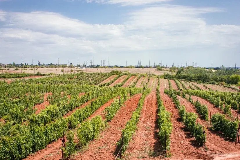 Обложка места Семейная винодельня и сыроварня «Гусевъ»