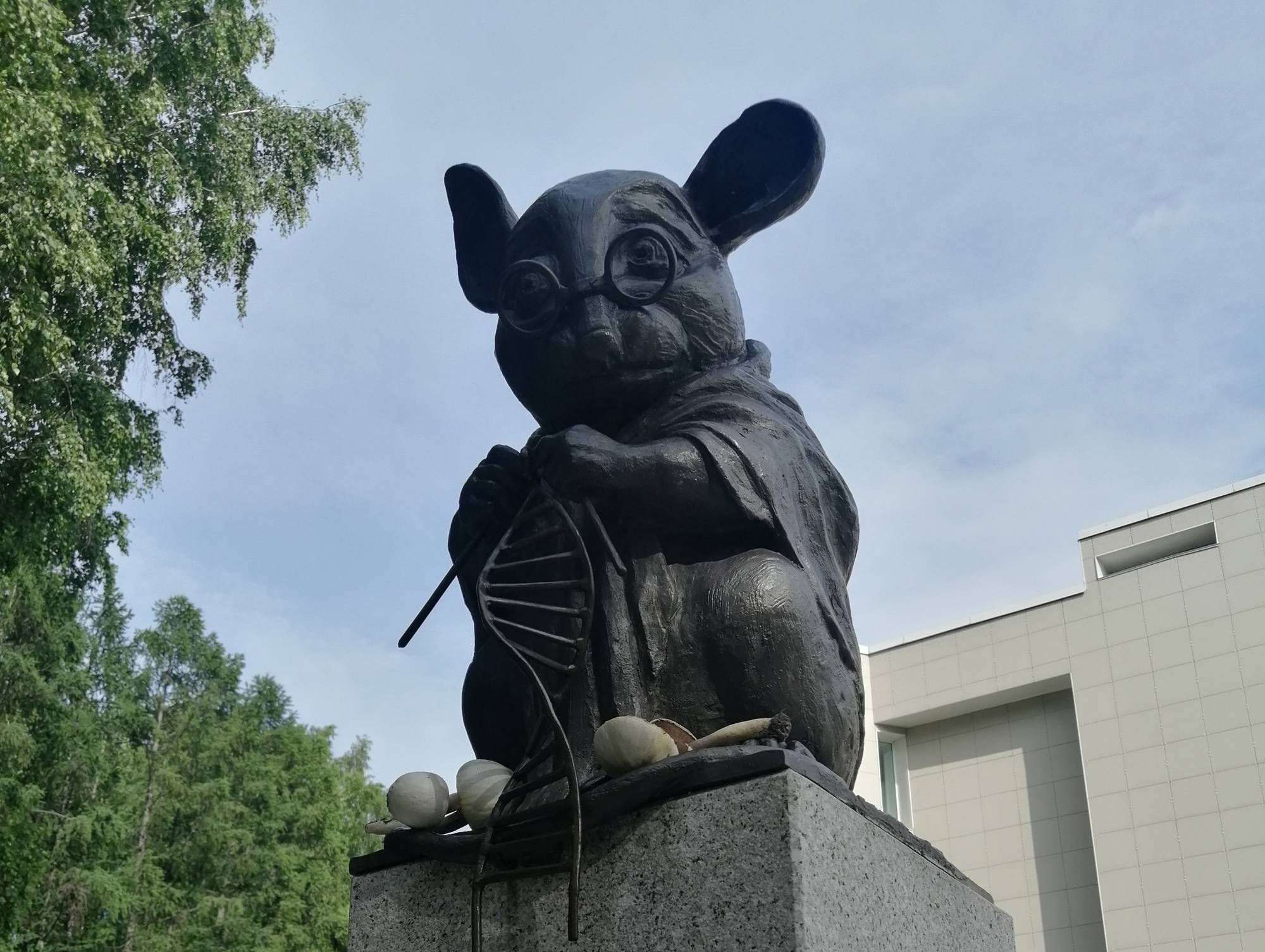 Новосибирский Академгородок: прогулка по городу-лесу