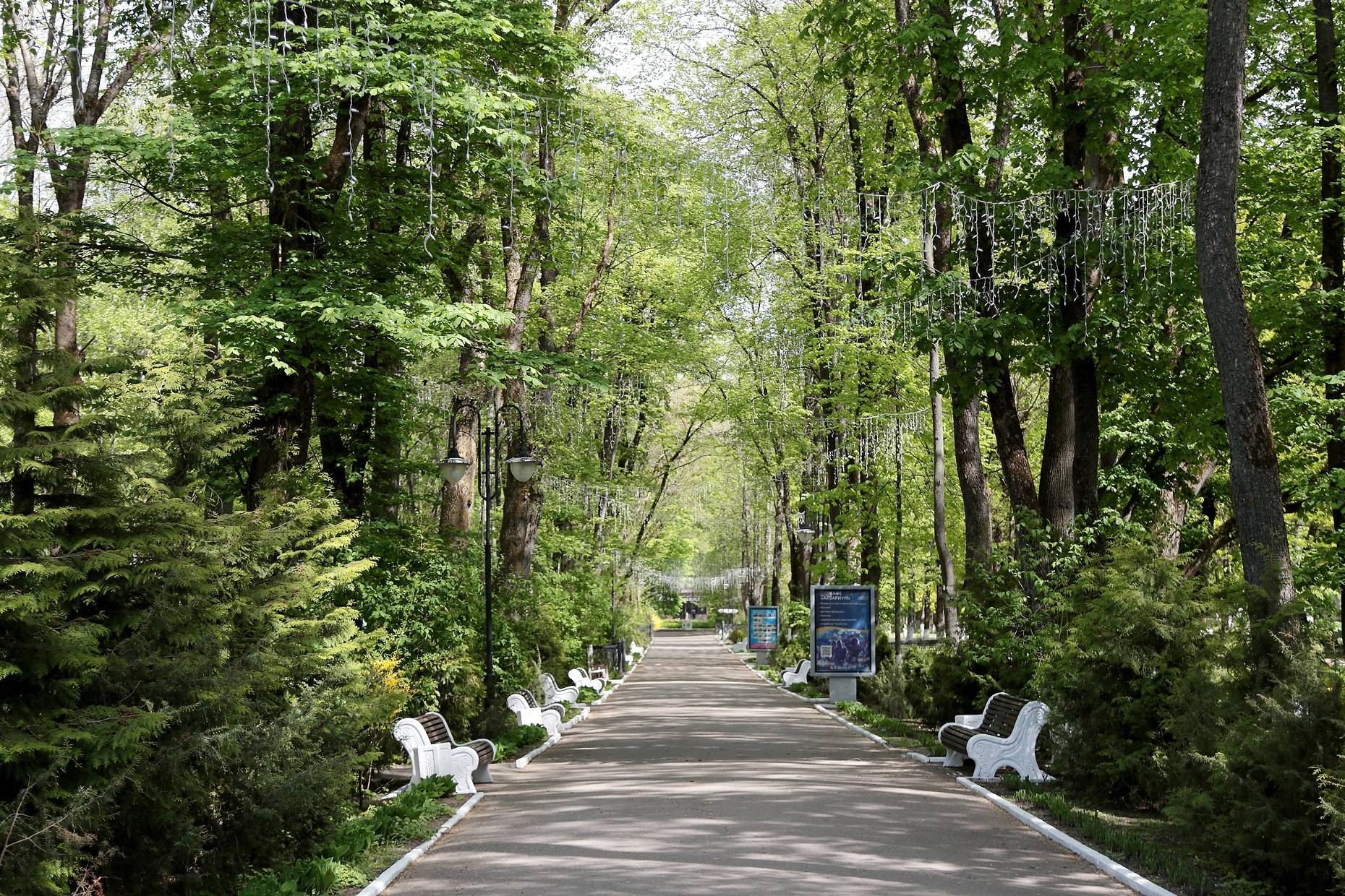 Обложка места Курорт «Старая Русса»