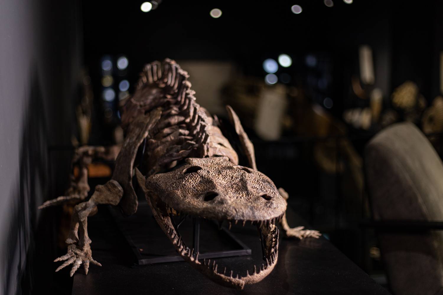 Обложка места Галерея Paleo Hunters